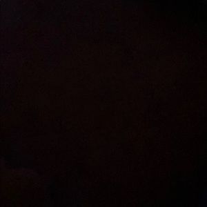 Meet your Posher, Janelle